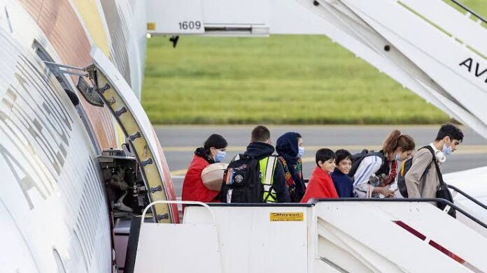 IMG_b4dfa874-d20b-419f-bf16-156d4d9f3a68